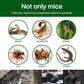 ⏳Spécial à durée limitée⏰Couverture domestique mono-tissée pour souris collante et piège solide🐁
