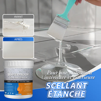 Scellant transparent et étanche à usage intérieur et extérieur