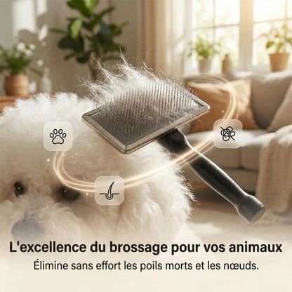 Brosse carde professionnelle pour toilettage des animaux