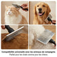 Brosse carde professionnelle pour toilettage des animaux