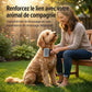 Brosse carde professionnelle pour toilettage des animaux