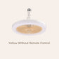 ⏳Réduction limitée de 50%🎁Remote Control Aromatherapy Ceiling Fan with Light