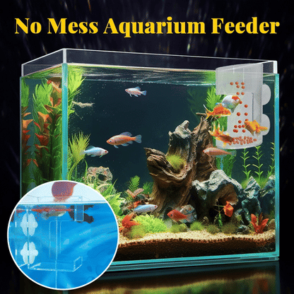 🐟Anneau et Plateau de Nourrissage pour Aquarium