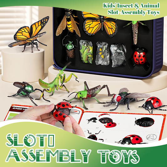 🐞Modèles d’insectes & animaux 1:1 – Assemblage éducatif en 3 niveaux, vinyle sécurisé🎁🔬