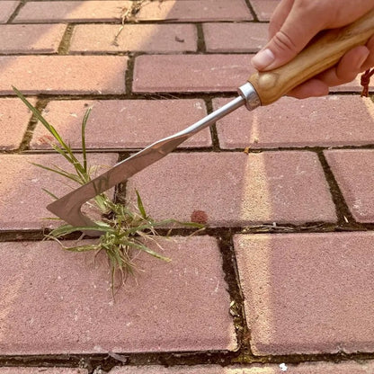 🔥 -50% ! Nouvel outil 2026 – brosse anti-mauvaises herbes pour fissures, nettoyage facile & durable 💪🌿