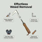 🔥 -50% ! Nouvel outil 2026 – brosse anti-mauvaises herbes pour fissures, nettoyage facile & durable 💪🌿
