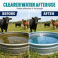 🐑✅ PROMO FLASH -50%💧 Pastilles effervescentes pour animaux, stimule la boisson, préserve l’hydratation et la santé digestive ✅
